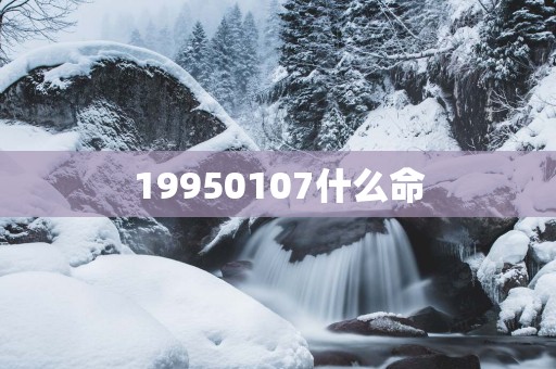 19950107什么命
