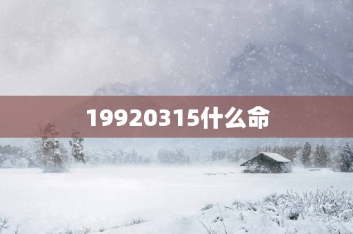 19920315什么命