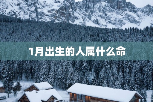 1月出生的人属什么命