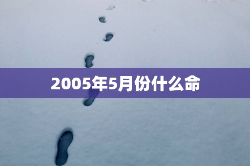 2005年5月份什么命