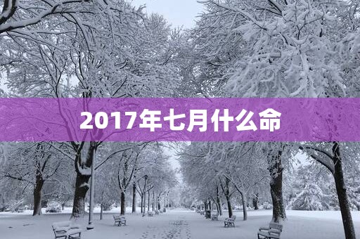 2017年七月什么命