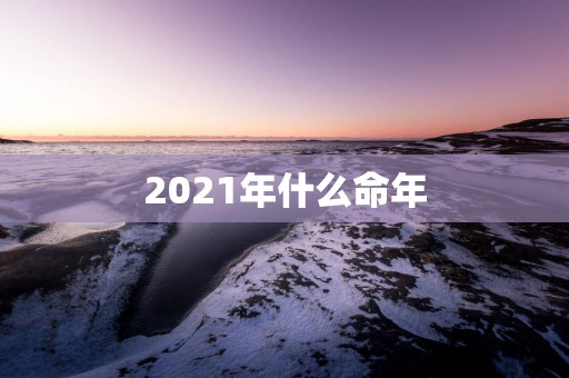 2025年什么命年