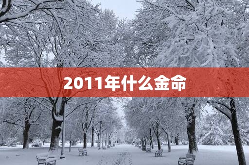 2011年什么金命