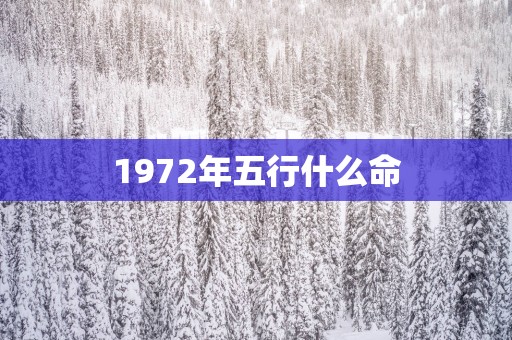 1972年五行什么命
