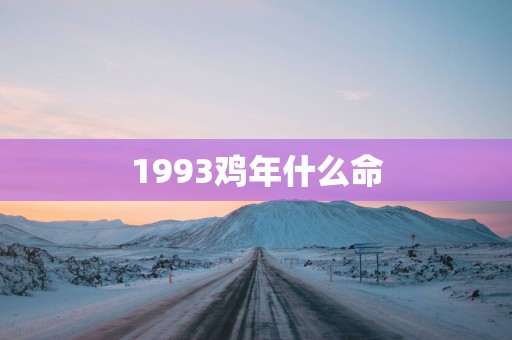 1993鸡年什么命