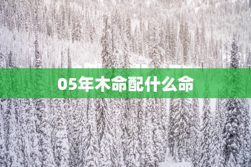 05年木命配什么命
