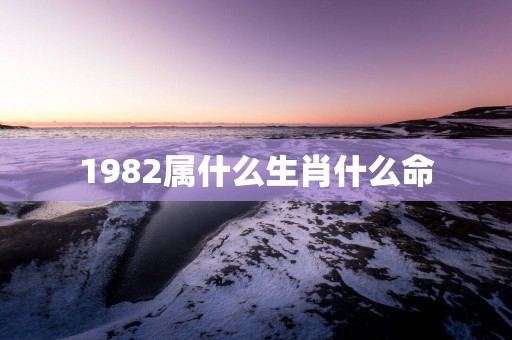 1982属什么生肖什么命