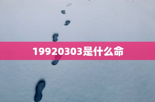 19920303是什么命
