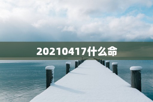 20250417什么命