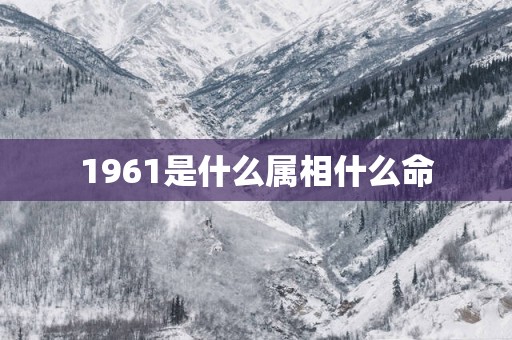 1961是什么属相什么命