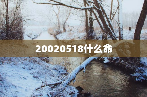20020518什么命