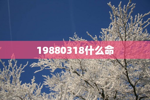 19880318什么命
