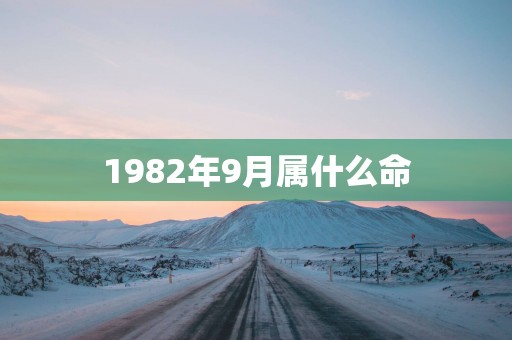 1982年9月属什么命