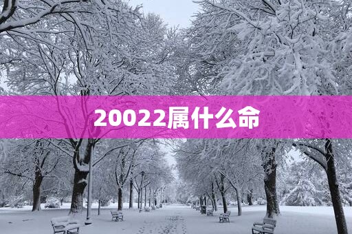 20022属什么命