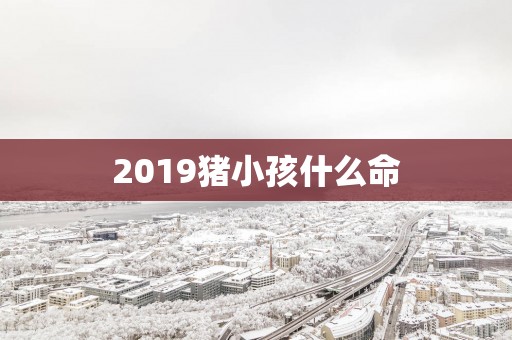 2019猪小孩什么命
