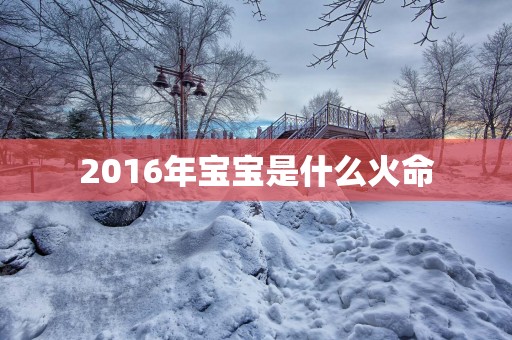 2016年宝宝是什么火命