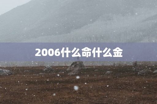 2006什么命什么金