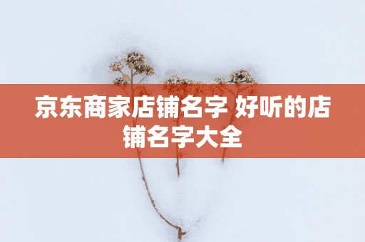 京东商家店铺名字 好听的店铺名字大全
