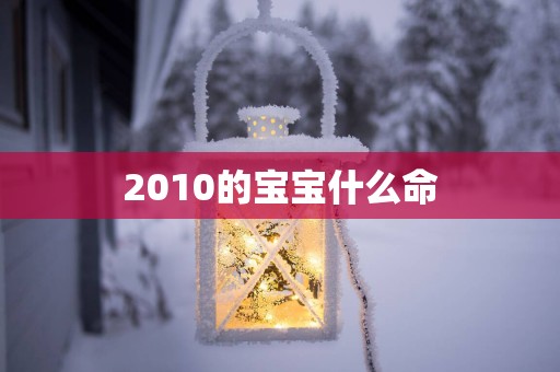 2010的宝宝什么命
