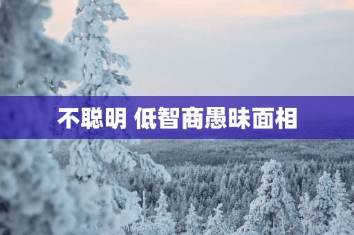 不聪明 低智商愚昧面相