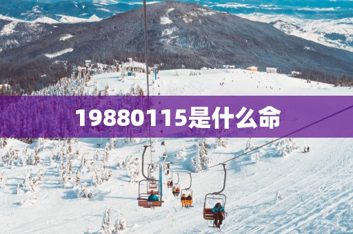 19880115是什么命