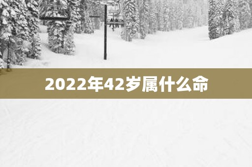 2025年42岁属什么命