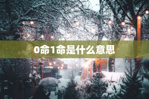 0命1命是什么意思