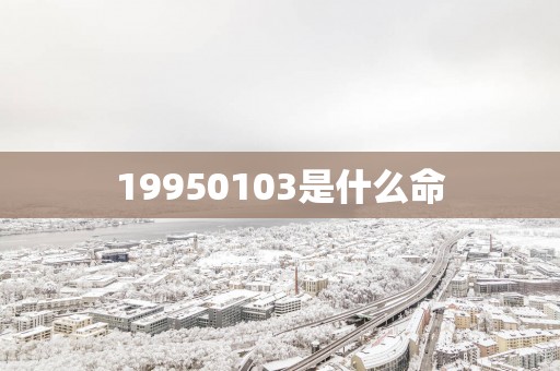 19950103是什么命
