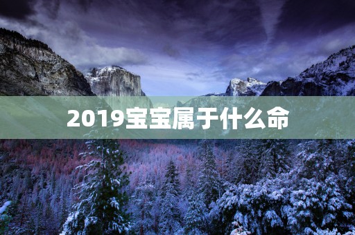 2019宝宝属于什么命