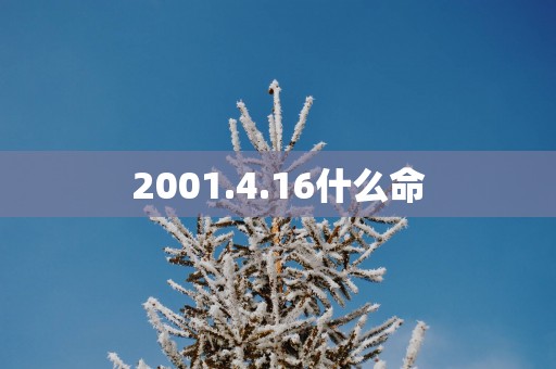 2001.4.16什么命