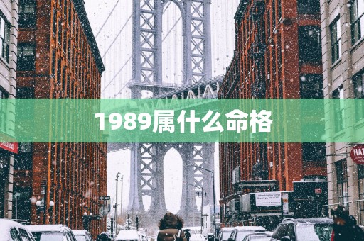 1989属什么命格