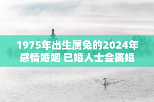 1975年出生属兔的2025年感情婚姻 已婚人士会离婚吗