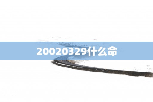 20020329什么命