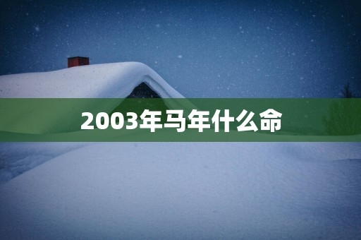 2003年马年什么命