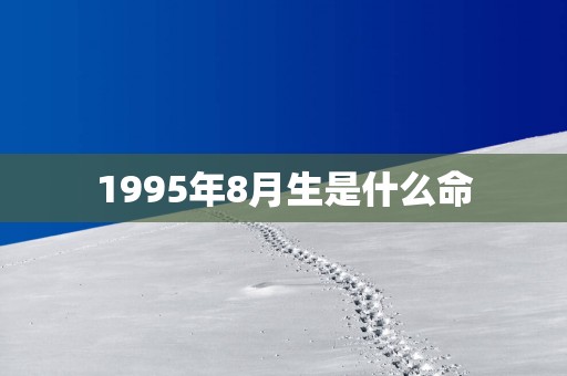 1995年8月生是什么命