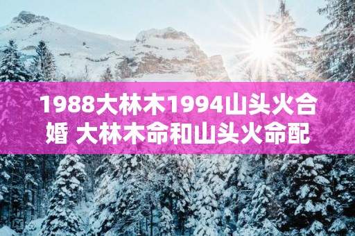 1988大林木1994山头火合婚 大林木命和山头火命配对