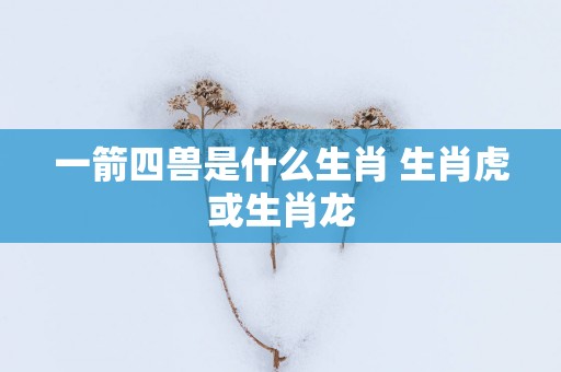 一箭四兽是什么生肖 生肖虎或生肖龙