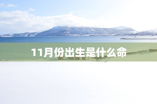 11月份出生是什么命