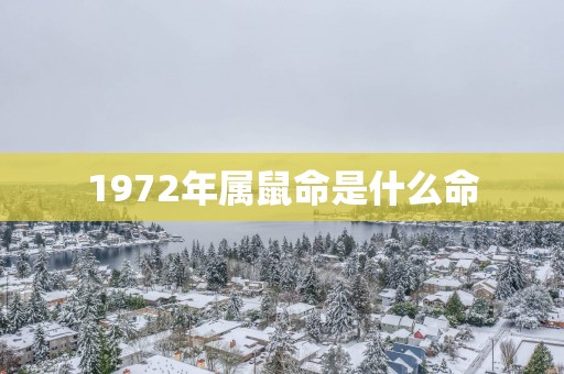 1972年属鼠命是什么命