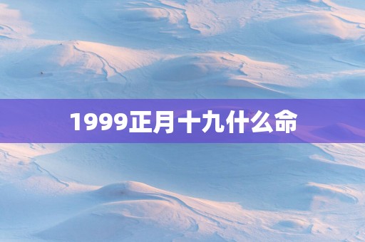 1999正月十九什么命