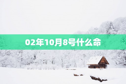 02年10月8号什么命