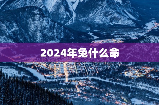 2025年兔什么命