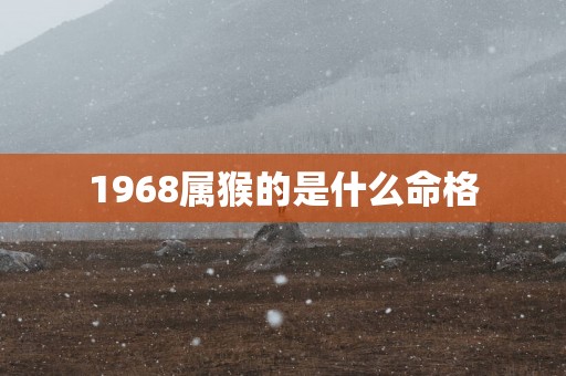 1968属猴的是什么命格