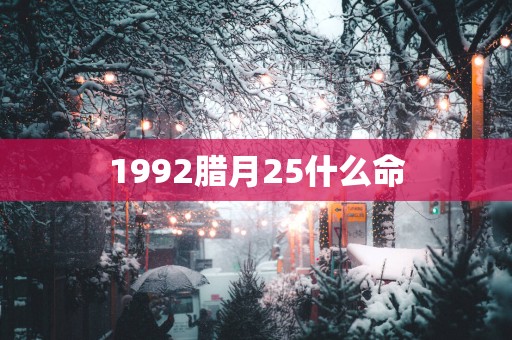 1992腊月25什么命