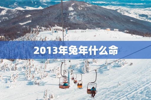 2013年蛇年什么命