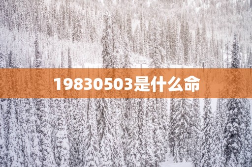 19830503是什么命