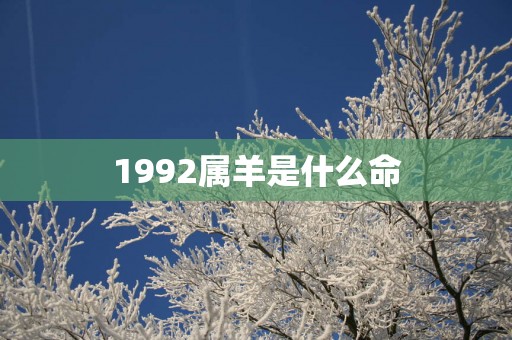 1992属羊是什么命
