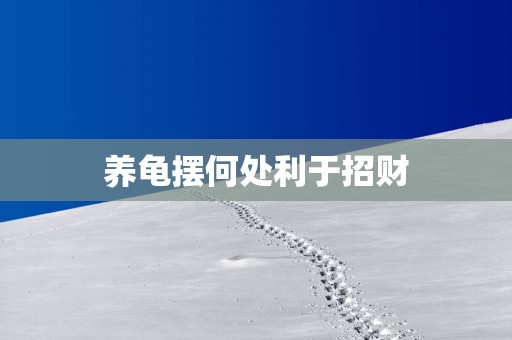 养龟摆何处利于招财