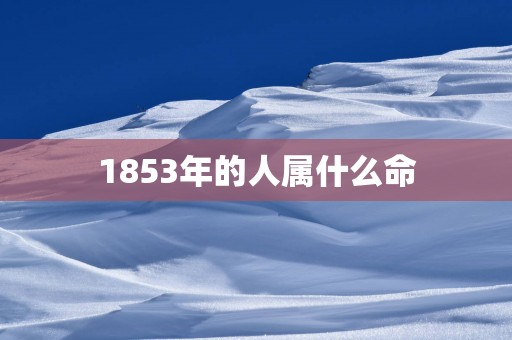 1853年的人属什么命