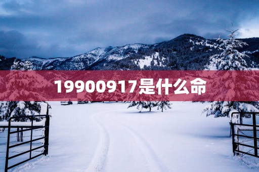 19900917是什么命